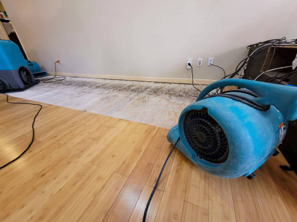 Professional Structural Drying technician working in Altoona, PA